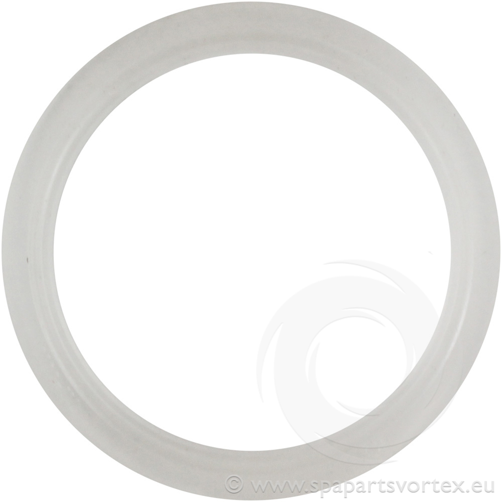 Waterway Mini Jet Wall Fitting Gasket 